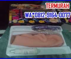 VAGINA SILIKON GETAR ALAT BANTU SEX PRIA  081291640077